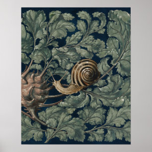 Vintage Art Nouveau Botanical Snail Antique Poster