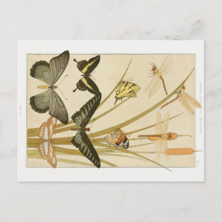 Vintage Art Nouveau Butterflies & Cattails  Postcard