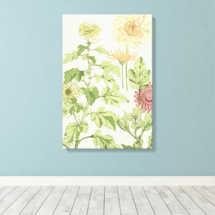 Vintage Art Nouveau, Chrysanthemums in a Garden Canvas Print