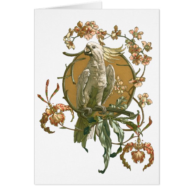 Vintage Art Nouveau, Cockatoo Bird, Orchid Flowers (Front)