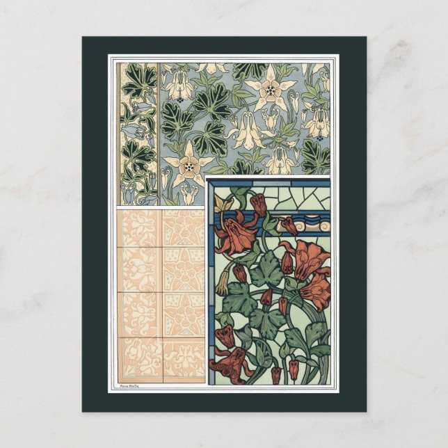 Vintage Art Nouveau, Columbine Aquilegia Flowers Postcard (Front)