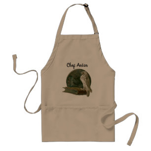 Vintage Art Nouveau with an Owl, Coin and a Book Standard Apron