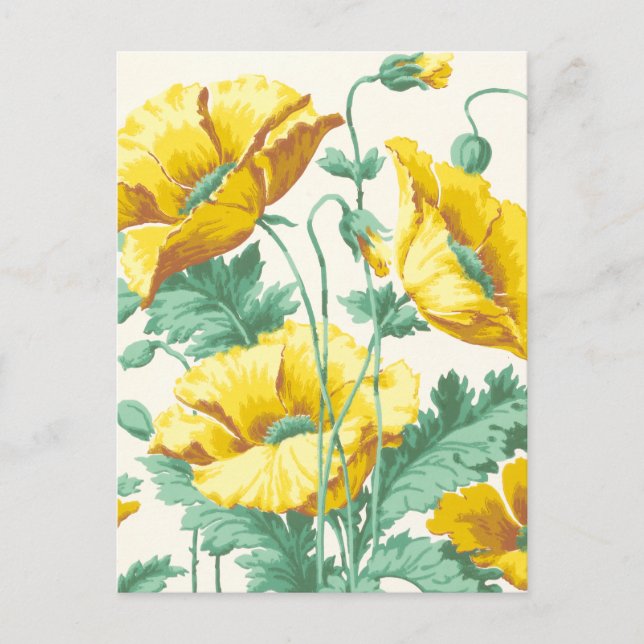 Vintage Art Nouveau Yellow Poppies Postcard (Front)