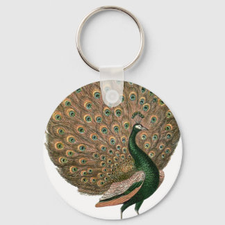 Vintage art Peafowl (peacock) plummage green gold Key Ring