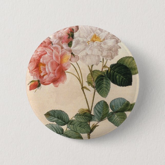 Vintage Art Pink Rose Flower Pinback Button (Front)