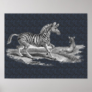 Vintage Art Zebra Mare And Foal Animal Poster