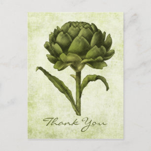 Vintage Artichoke Postcard