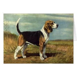 Vintage Artwork - Beagle Dog,