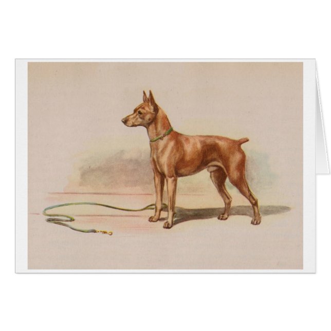 Vintage Artwork - Miniature Pinscher Dog, (Front Horizontal)