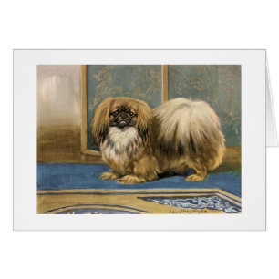 Vintage Artwork of Pekingese Dog,