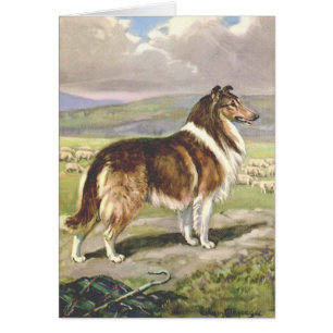 Vintage Artwork - Rough Collie Dog,