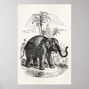 Vintage Asian Elephant Personalised Elephants Poster