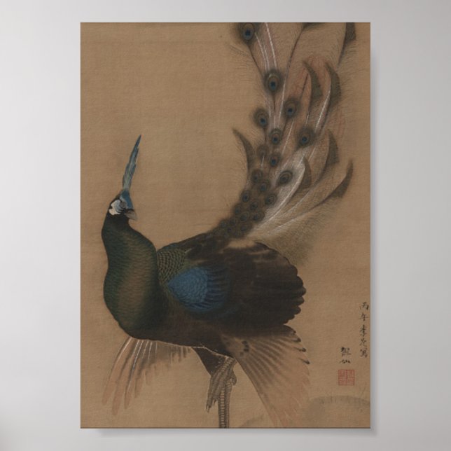 Vintage Asian Peacock Art Print (Front)
