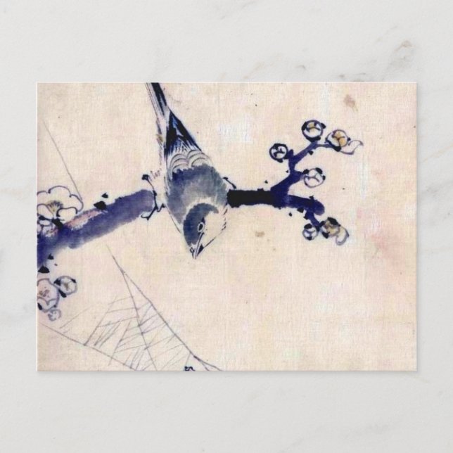 Vintage Asian Prints Postcard (Front)