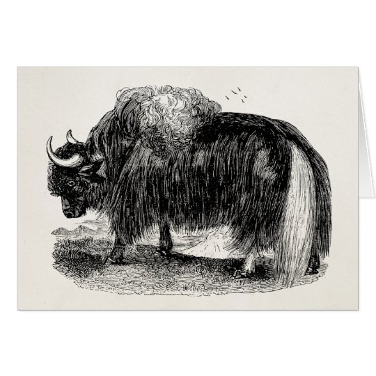 Vintage Asian Yak Retro Yaks Animal Illustration Card