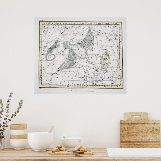Vintage Astronomy Constellations Celestial Map  Poster (Kitchen)