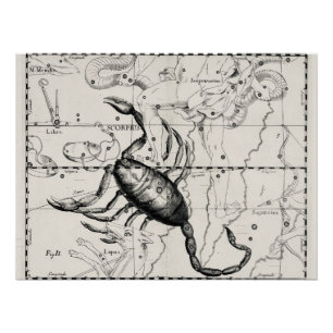 Vintage Astronomy Constellations Celestial Map Poster