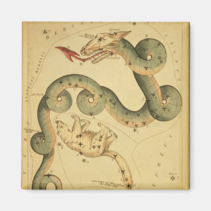 Vintage astronomy print Draco & Ursa Minor Magnet