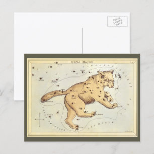 Vintage Astronomy, Ursa Major Constellation, Bear Postcard