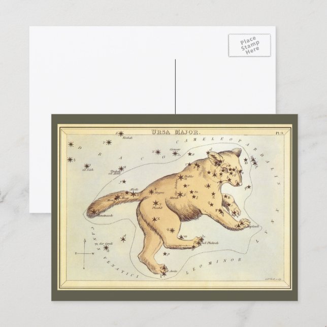 Vintage Astronomy, Ursa Major Constellation, Bear Postcard (Front/Back)