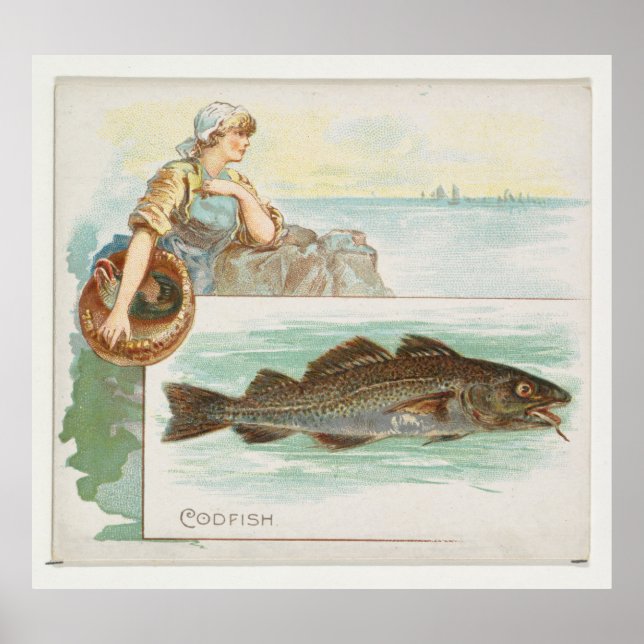 Vintage Atlantic Cod Fish Illustration (1889) Poster (Front)