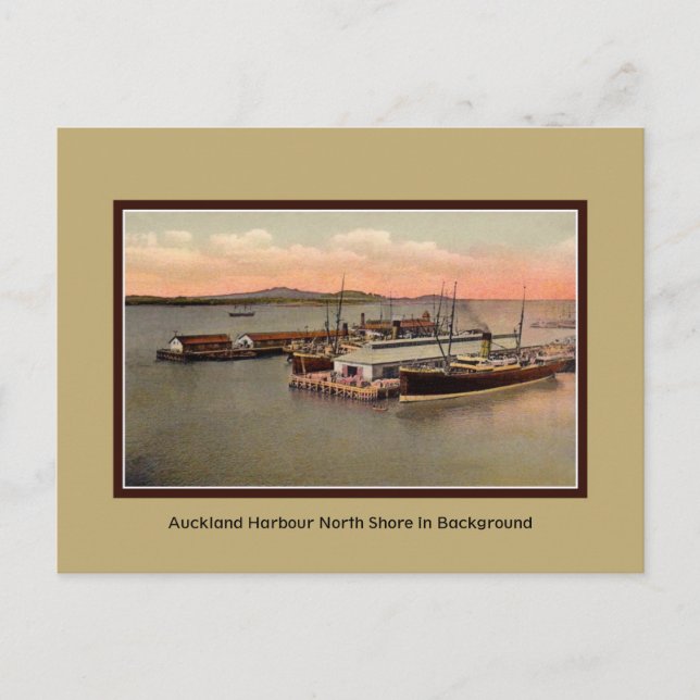 Vintage Auckland Harbour, North Shore Postcard (Front)