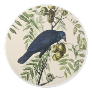 Vintage Audubon American Crow Bird Nature Art Ceramic Knob