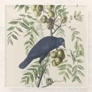 Vintage Audubon American Crow Bird Nature Art Glass Coaster
