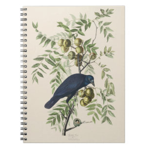 Vintage Audubon American Crow Bird Nature Art Notebook