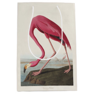 Vintage Audubon American Flamingo Pink Bird Art Medium Gift Bag