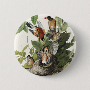 Vintage Audubon American Robin Bird Nest Art 6 Cm Round Badge