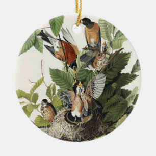 Vintage Audubon American Robin Bird Nest Art Ceramic Tree Decoration