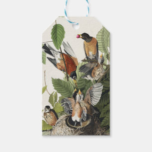 Vintage Audubon American Robin Bird Nest Art Gift Tags