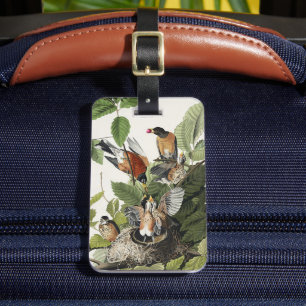 Vintage Audubon American Robin Bird Nest Art Luggage Tag