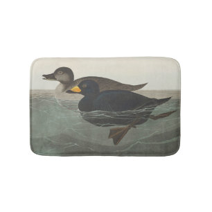 Vintage Audubon American Scoter Duck Bird Art Bath Mat