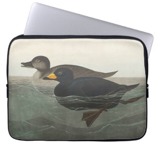 Vintage Audubon American Scoter Duck Bird Art Laptop Sleeve