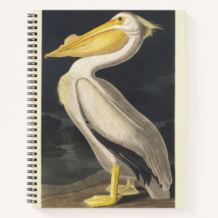 Vintage Audubon American White Pelican Bird Art Notebook