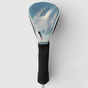 Vintage Audubon Arctic Tern Coastal Bird Art Golf Head Cover