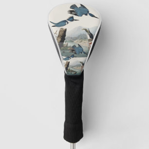 Vintage Audubon Belted Kingfisher Bird Art Golf Head Cover