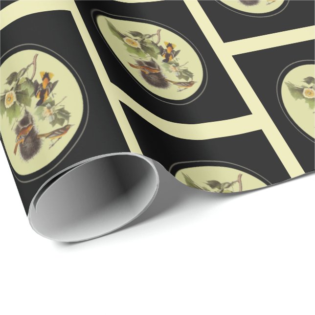 Vintage Audubon Birds Troupial Oriole    Wrapping Paper (Roll Corner)