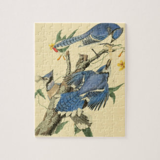 Vintage Audubon Blue Jay Bird Painting Gift Jigsaw Puzzle
