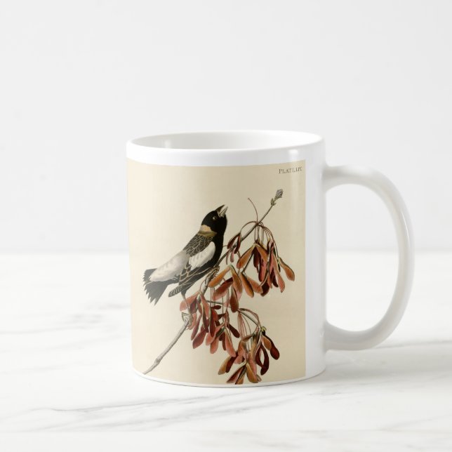 Vintage Audubon Bobolink Painting Gift Coffee Mug (Right)