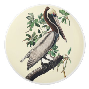 Vintage Audubon Brown Pelican Coastal Bird Art Ceramic Knob
