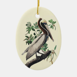 Vintage Audubon Brown Pelican Coastal Bird Art Ceramic Tree Decoration