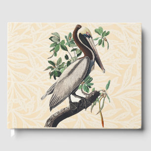 Vintage Audubon Brown Pelican Coastal Bird Art Guest Book