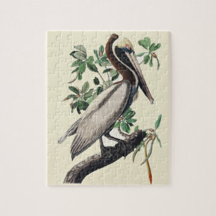 Vintage Audubon Brown Pelican Coastal Bird Art Jigsaw Puzzle