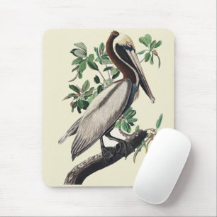 Vintage Audubon Brown Pelican Coastal Bird Art Mouse Mat