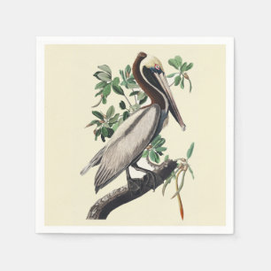 Vintage Audubon Brown Pelican Coastal Bird Art Napkin