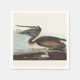 Vintage Audubon Brown Pelican Coastal Bird Art Napkin