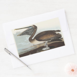 Vintage Audubon Brown Pelican Coastal Bird Art Rectangular Sticker